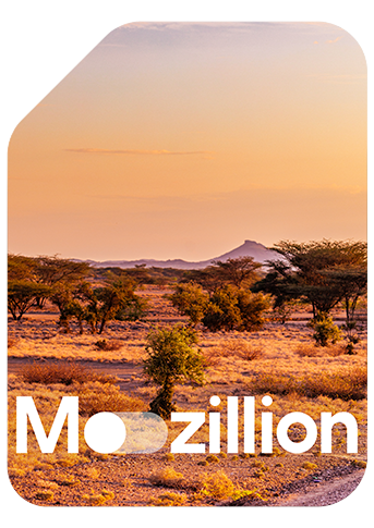 1765792000_Mozillion Travel SIM Cover - Best Africa.png